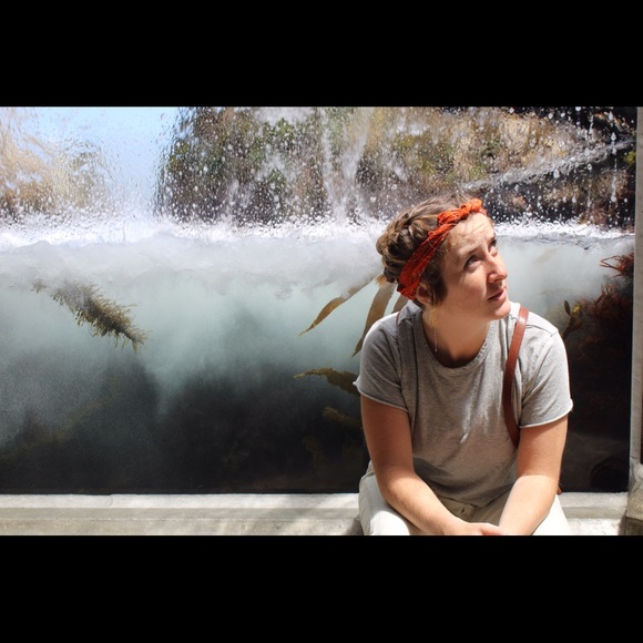 Meet your Posher, Mariah - Picture 1 of 1