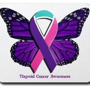 Meet your Posher, Anissa