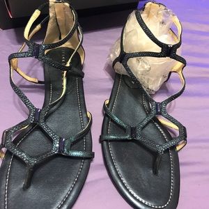 Ivanka Trump shoes ,Color is metallic blue