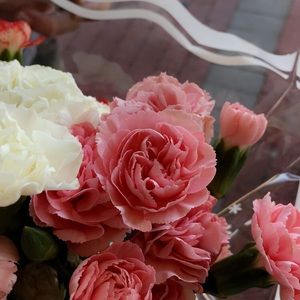 Meet your Posher, Sam