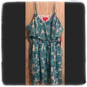 Sea Urchins for Summer 😎