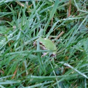 Meet your Posher, Jon