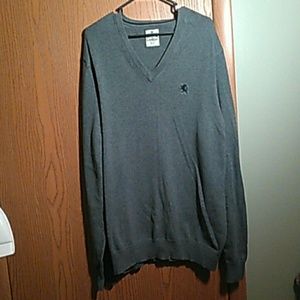 Express V-neck sweater