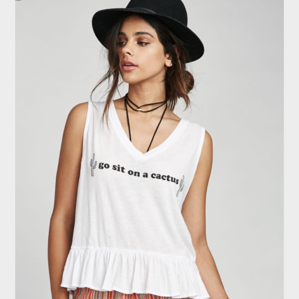 Wildfox sit on a cactus tank