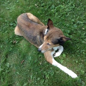 Meet your Posher, Don