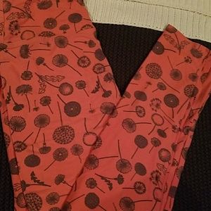 OS LulaRoe