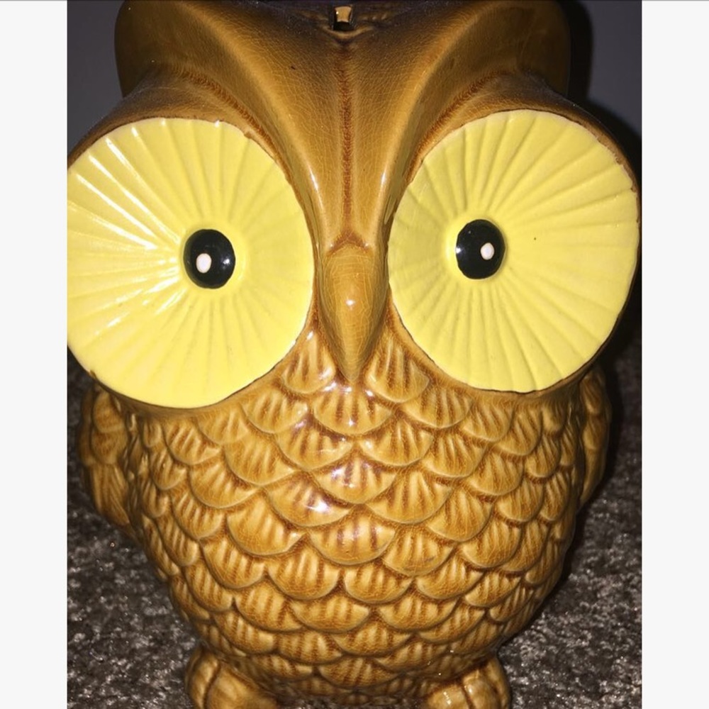 🦉 Owl Piggy Bank