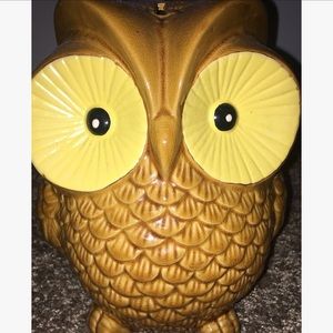 🦉 Owl Piggy Bank