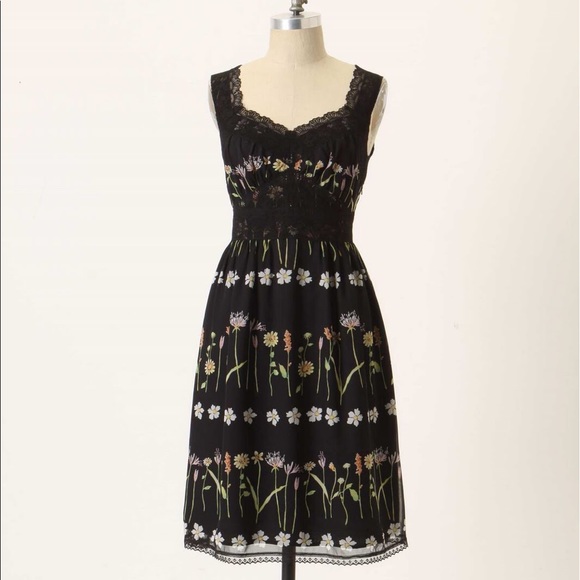 Anthropologie Dresses & Skirts - Anna Sui for Anthropologie Midnight Fields Dress