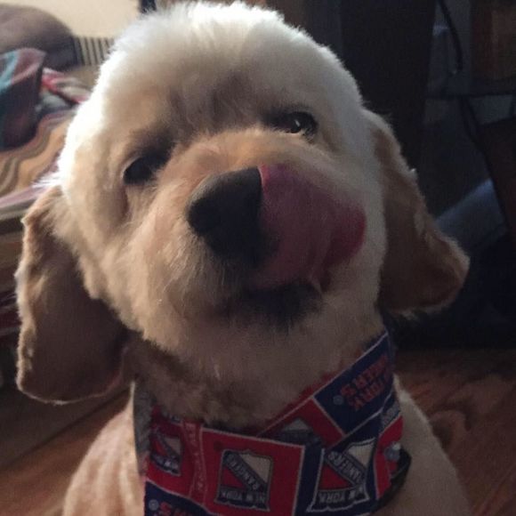 Meet your Posher, Sarah - Picture 1 of 1