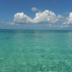 Meet your Posher, Cathy