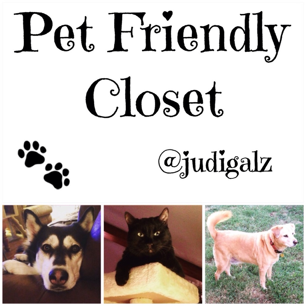 I ❤️ My Cat and Dogs 🐾