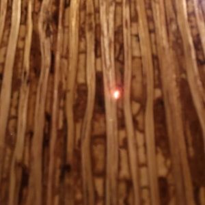 Meet your Posher, Lillian