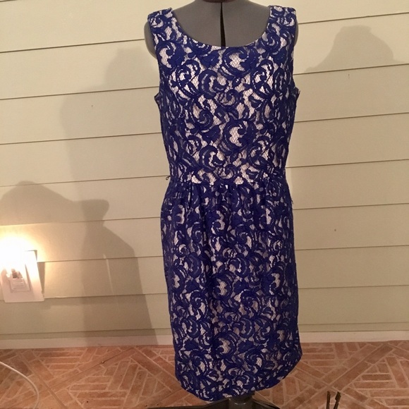 Ellen Tracy Blue Lace overlay sleeve sheath Dress - Picture 1 of 8