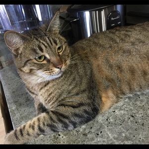 Meet your Posher, Alexandra