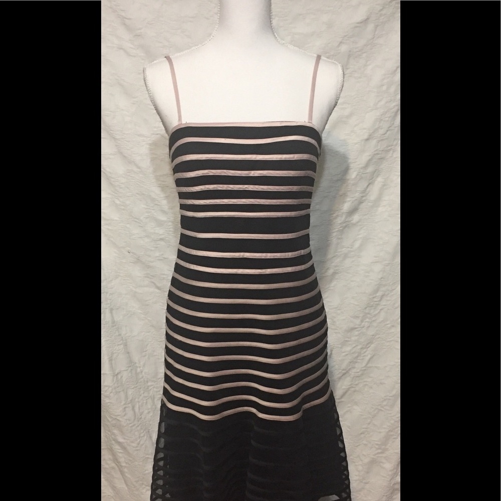 JS Collections Pink/Black Spaghetti Strp Cocktail