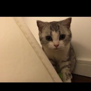 Meet your Posher, Chen