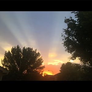 Meet your Posher, Riley