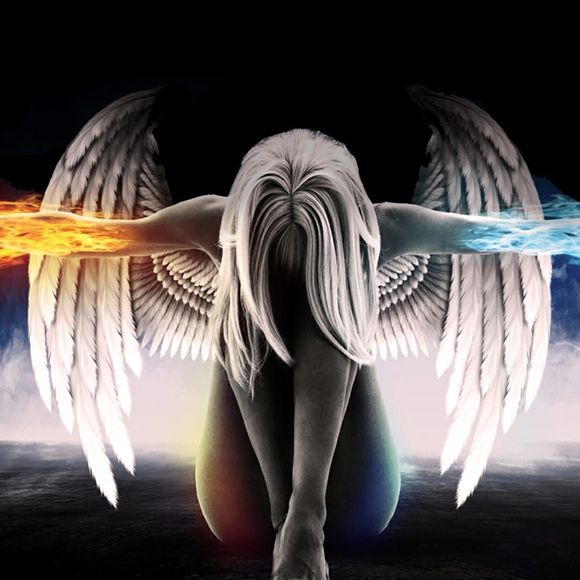 Meet your Posher, Lora - Picture 1 of 1