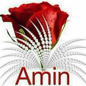 Meet your Posher, Flanza