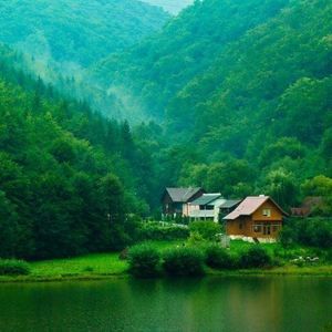 Meet your Posher, Steve