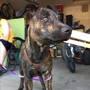 Meet your Posher, Kaylee