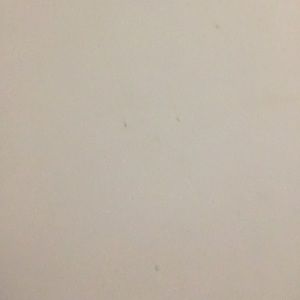 Meet your Posher, Noah