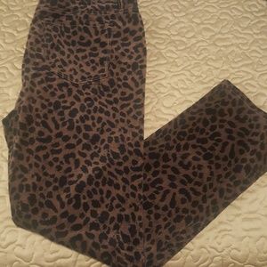 Loft cheetah pants