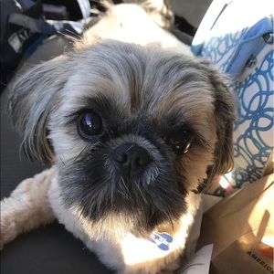 Meet your Posher, Matt