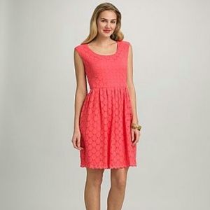 Eyelet Lace Dress