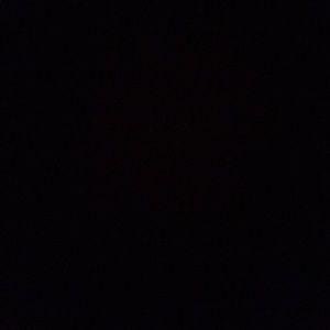 Meet your Posher, Ivy