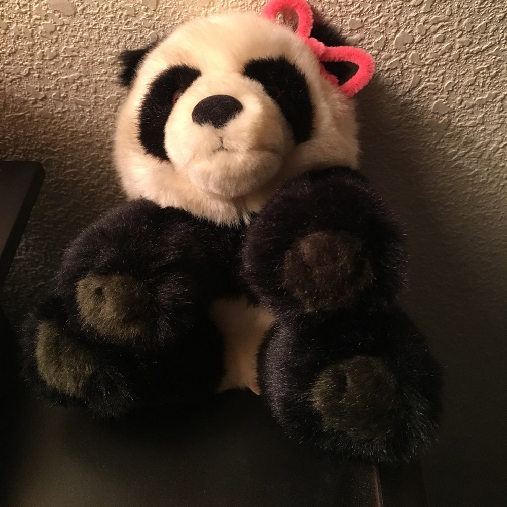 Meet your Posher, Sylvia