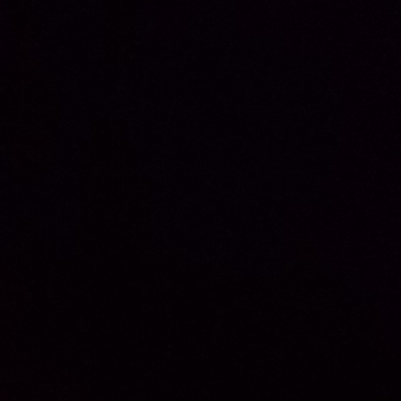 Meet your Posher, Evan - Picture 1 of 1