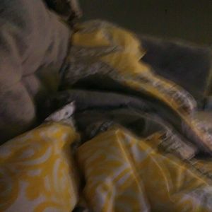 Meet your Posher, Bria