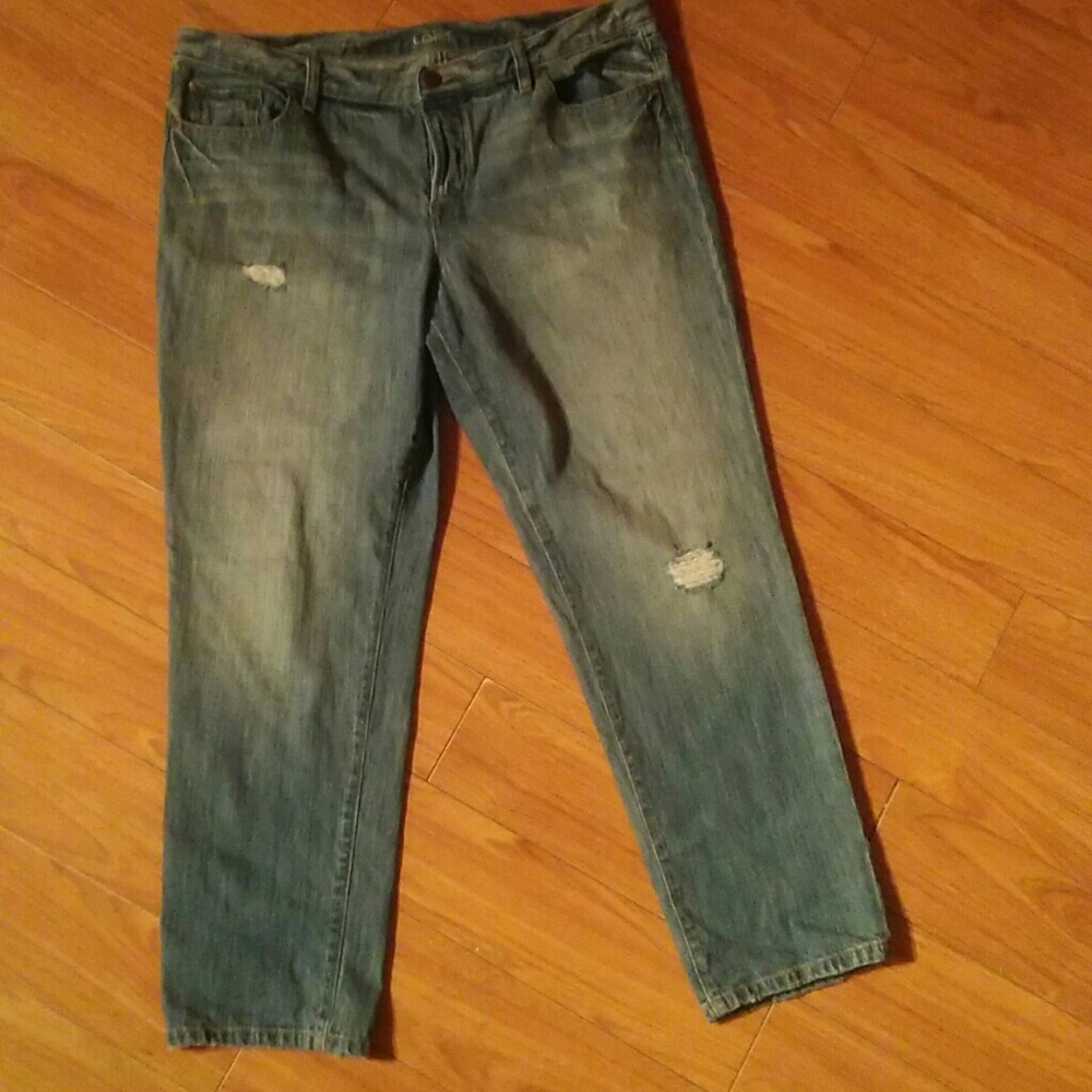Ann Taylor Denim