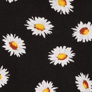 Meet your Posher, Ann