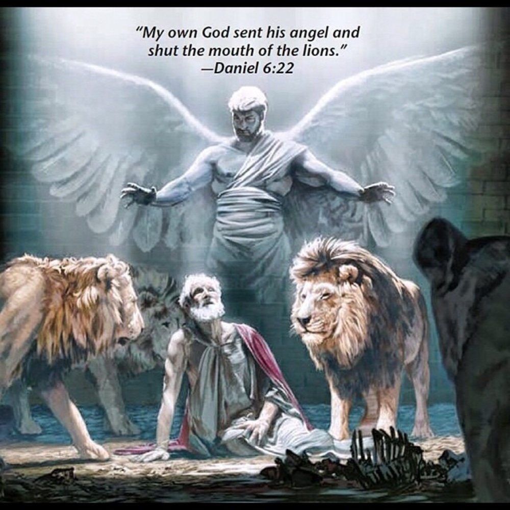 Meet your Posher, Sha