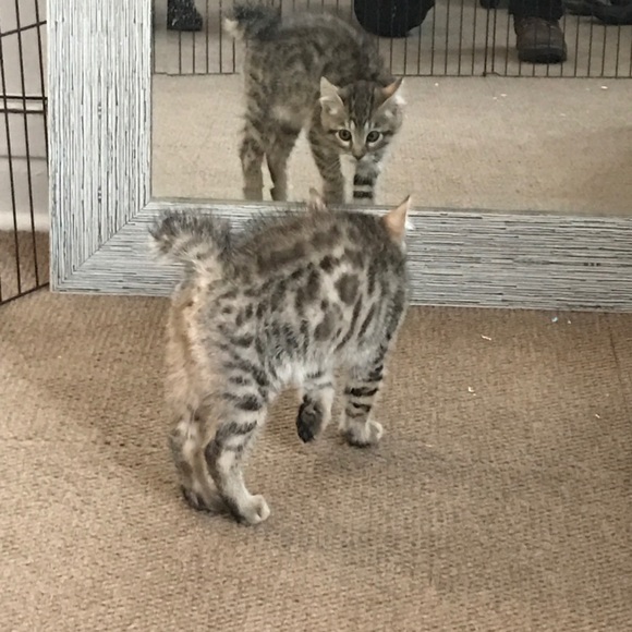 Meet your Posher, Jesse - Picture 2 of 6