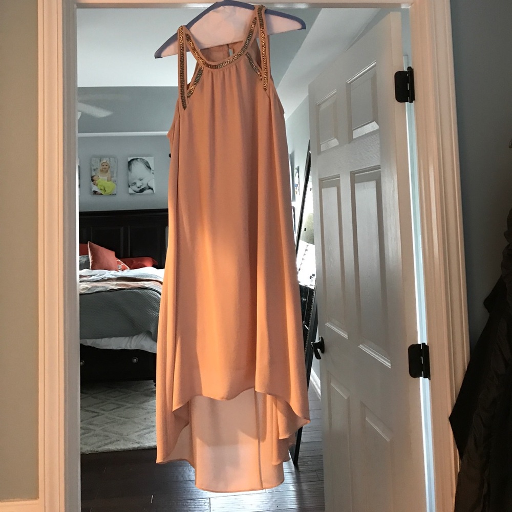 BCBG bare pink dress