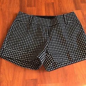 NWOT Navy and white polka dot shorts
