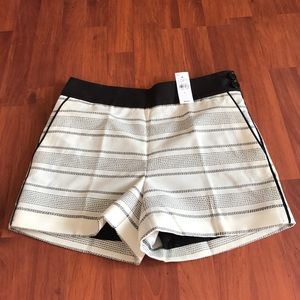 NWT white and black tuxedo side zip shorts