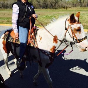 Meet your Posher, Liz