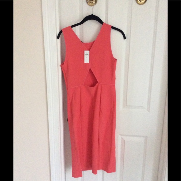 Ann Taylor cutout back sheath dress - Picture 5 of 7