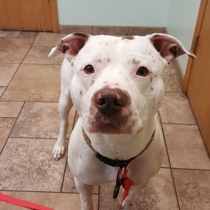 Meet your Posher, Don