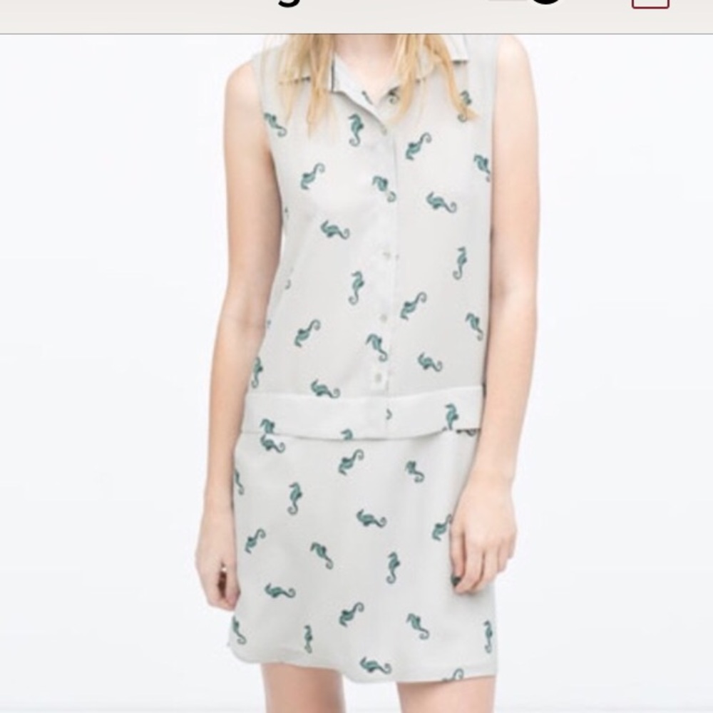 Zara dress