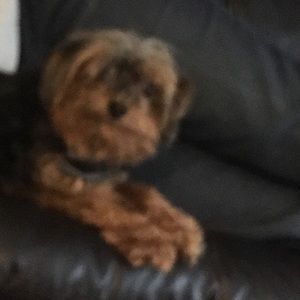 Meet your Posher, Rita