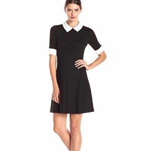 Betsey Johnson Peter Pan Dress size 4!