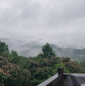 Meet your Posher, Trevor