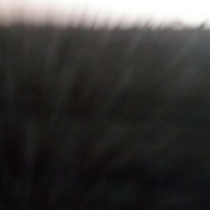 Meet your Posher, Troy