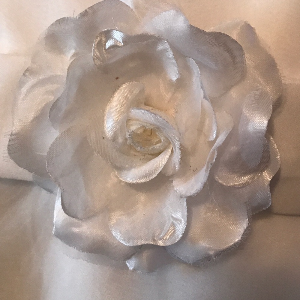 Beautiful Flower Girl/ Jr. Bridesmaid Dress - Picture 6 of 8